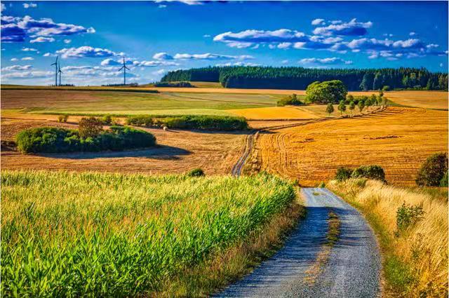 微信圖片_20210401220959.jpg 微信圖片_20210401220959.jpg